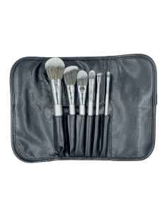 Trousse 6 Pinceaux Pro